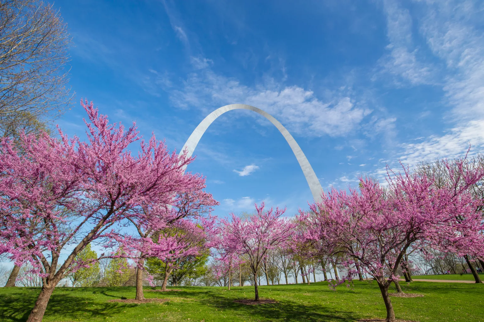St. Louis