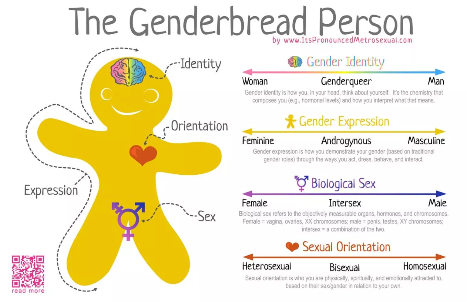 genderbread man