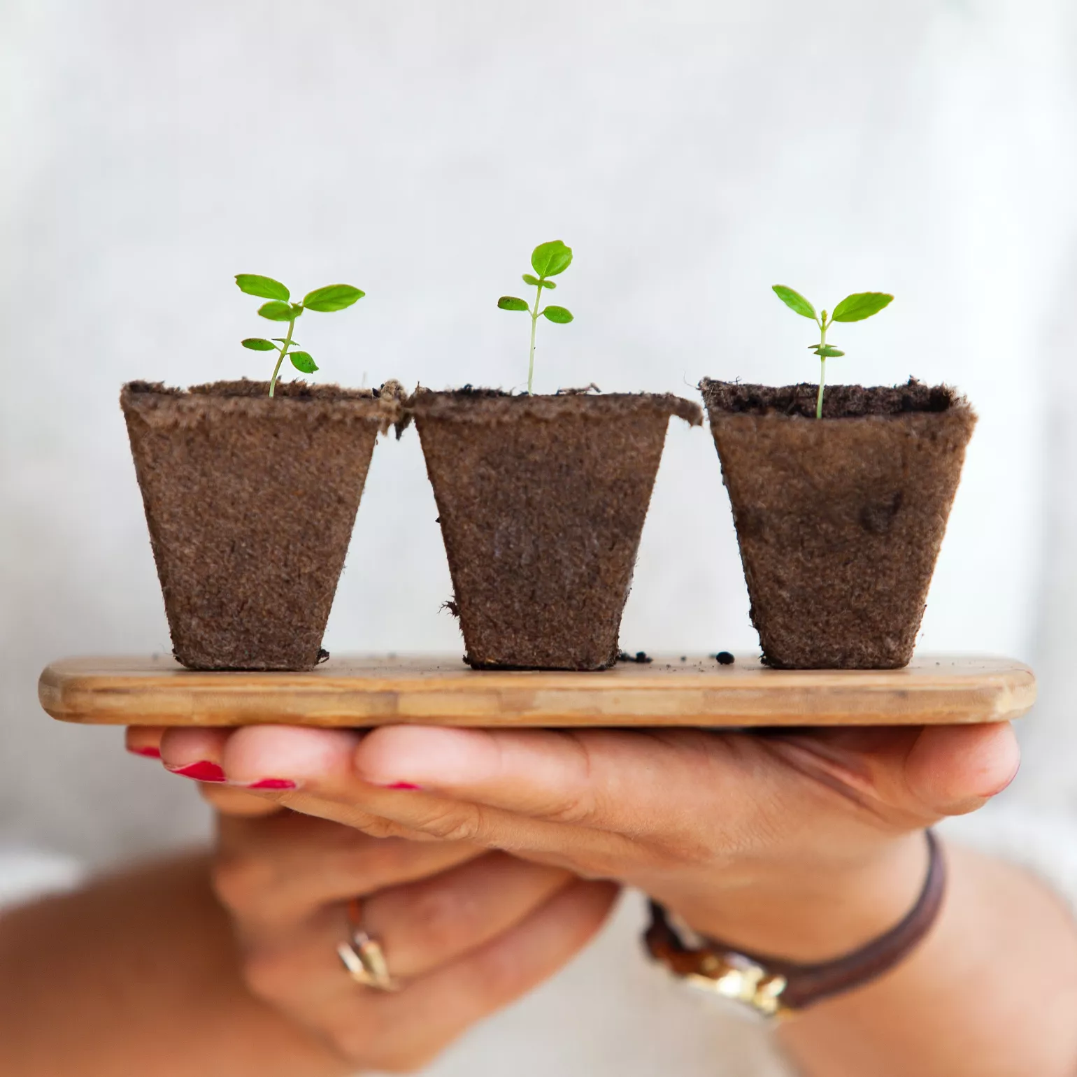 image of plants to represent a growing practice