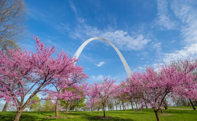 St. Louis