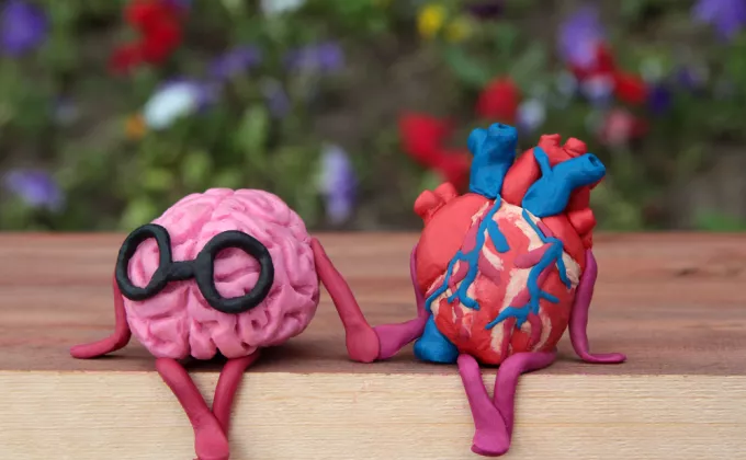 human brain and heart are sitting on a wooden bench in the park and holding hands.