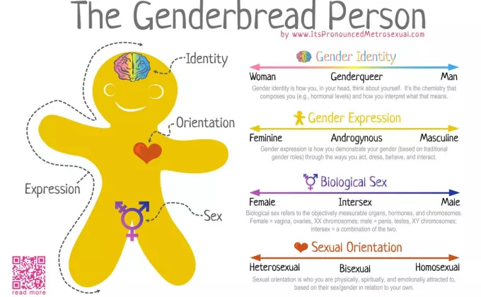 genderbread man