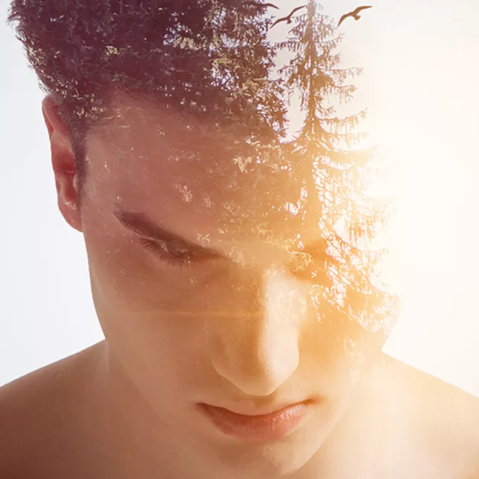 Advanced EMDR Training