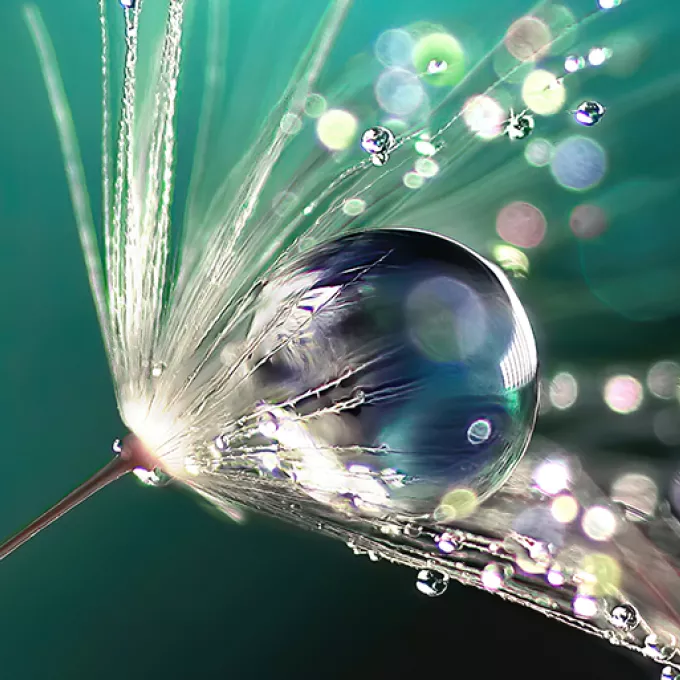 Intermediate EMDR Training