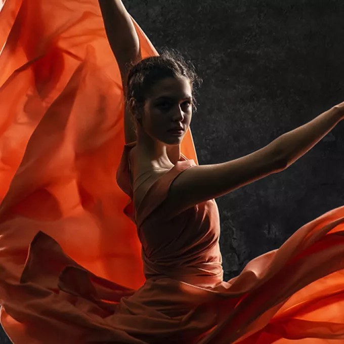 Masterclass Trainings in Relational EMDR